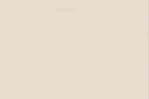 Линолеум Настенное покрытие Tarkett Wallgard Rolls White Beige фото  | FLOORDEALER